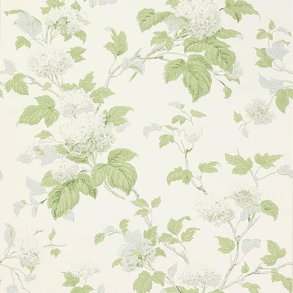 Обои бумажные Colefax and Fowler 07816/07 коллекции Jardine Florals