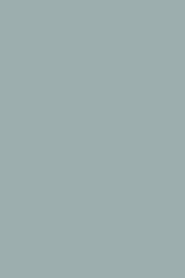 Краска Paint & Paper Library 690 Spruce
