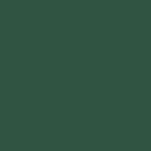 Краска Swiss Lake цвет Pine green RAL 6028
