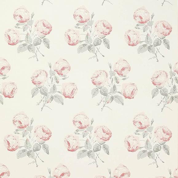 Обои бумажные Colefax and Fowler 07401/09 коллекции Jardine Florals