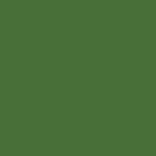 Краска Swiss Lake цвет Grass green RAL 6010