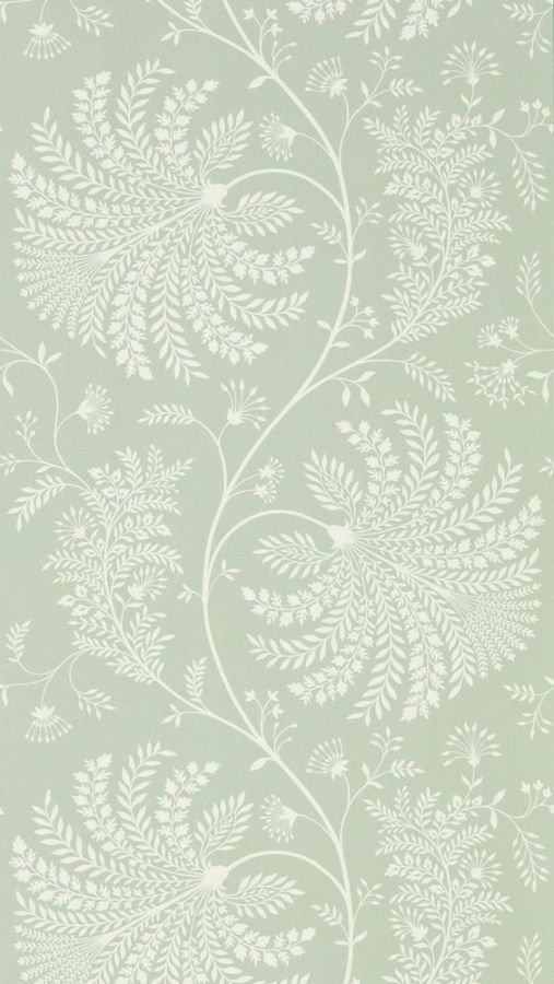 Обои Sanderson 216341 коллекции Curios Wallpaper