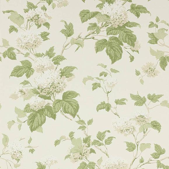 Обои бумажные Colefax and Fowler 07816/09 коллекции Jardine Florals