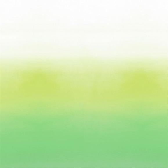 Флизелиновые Designers guild PDG1059/02 коллекции Scenes and Murals