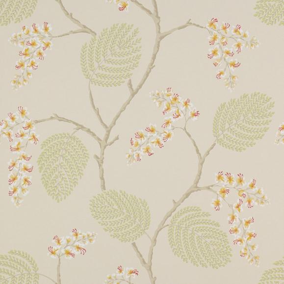 Обои бумажные Colefax and Fowler 07141/05 коллекции Jardine Florals
