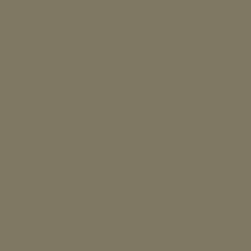 Краска Swiss Lake цвет Olive grey RAL 7002