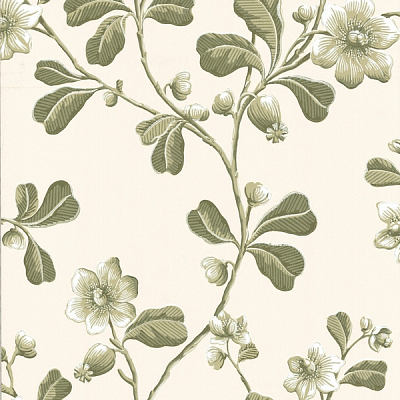 Обои Little Greene London Wallpapers 4 0277BRGARDE