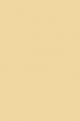 Краска Paint & Paper Library 470 Beeswax