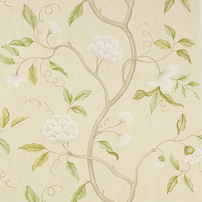 Обои бумажные Colefax and Fowler 07949/13 коллекции Jardine Florals