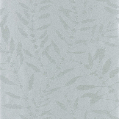 Обои Harlequin Anthozoa 111662