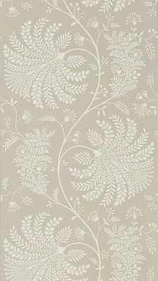 Обои Sanderson 216342 коллекции Curios Wallpaper