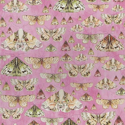 Флизелиновые Designers guild PDG713/03 коллекции Jardin Des Plantes