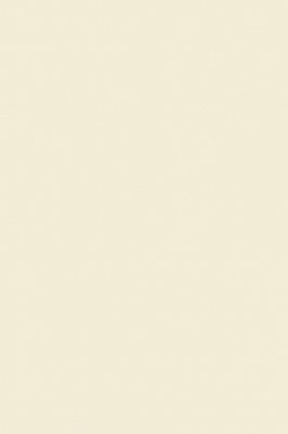 Краска Paint & Paper Library 493 Cashmere III