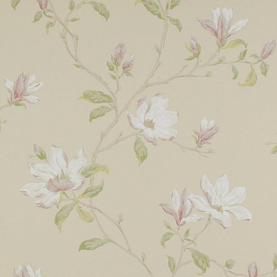 Обои бумажные Colefax and Fowler 07976/06 коллекции Jardine Florals