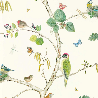Обои Sanderson 217230 коллекции Arboretum