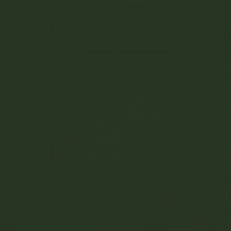 Краска Little Greene цвет Mid Bronze Green 125