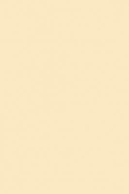 Краска Paint & Paper Library 463 Ivory III