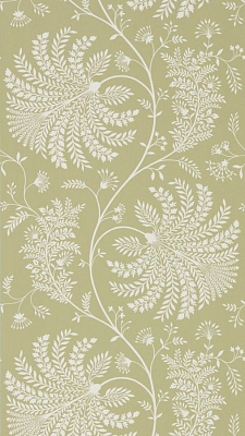 Обои Sanderson 216340 коллекции Curios Wallpaper