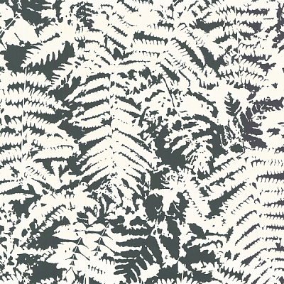 Обои Little Greene 20th Century Papers 0280FEOFFBL