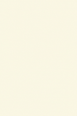 Краска Paint & Paper Library 501 Clay I