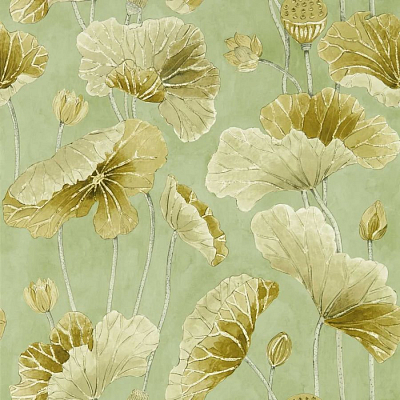 Обои Sanderson DWAW217126 коллекции Garden