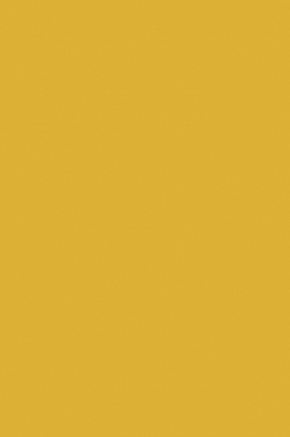 Краска Paint & Paper Library 484 Gamboge