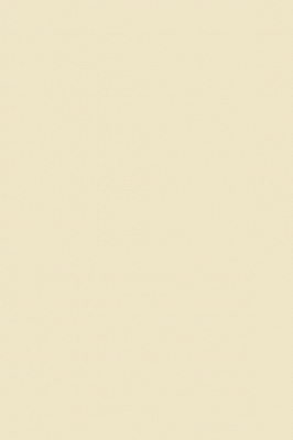 Краска Paint & Paper Library 503 Clay III