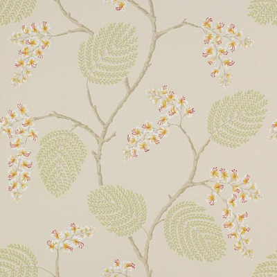 Обои бумажные Colefax and Fowler 07141/05 коллекции Jardine Florals