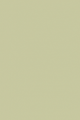 Краска Paint & Paper Library 568 Artichoke