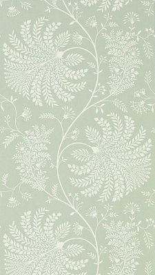 Обои Sanderson 216341 коллекции Curios Wallpaper