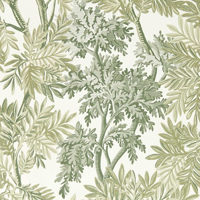 Обои Sanderson DSAB217416 коллекции Country Woodland