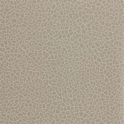 Обои Zoffany Oblique 312835