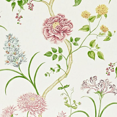 Обои Sanderson A Painters Garden DAPGST103