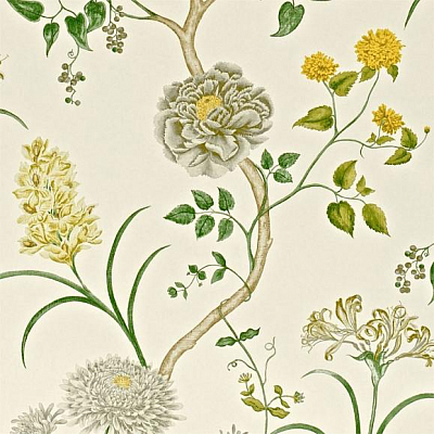 Обои Sanderson A Painters Garden DAPGST104