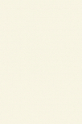 Краска Paint & Paper Library 492 Cashmere II