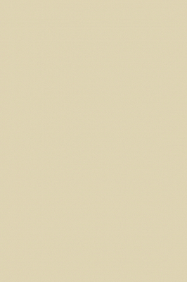 Краска Paint & Paper Library 495 Cashmere V