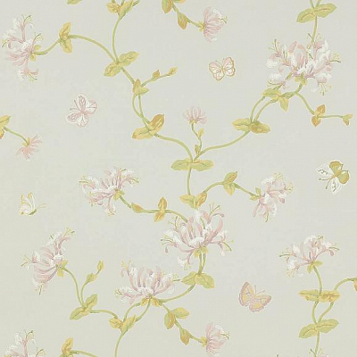 Обои бумажные Colefax and Fowler W7002-02 коллекции Jardine Florals
