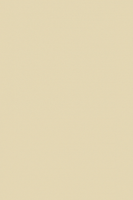 Краска Paint & Paper Library 504 Clay IV