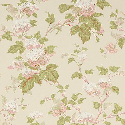 Обои бумажные Colefax and Fowler 07816/08 коллекции Jardine Florals